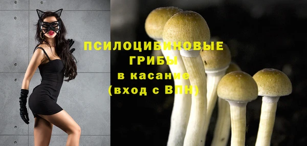 марихуана Белокуриха