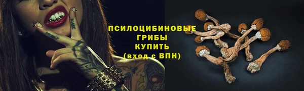 марихуана Белокуриха